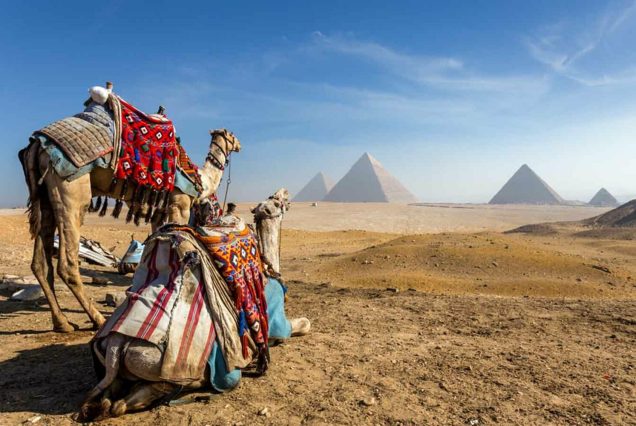 Private Tour Giza Pyramids, Sphinx, New Grand Egyptian Museum